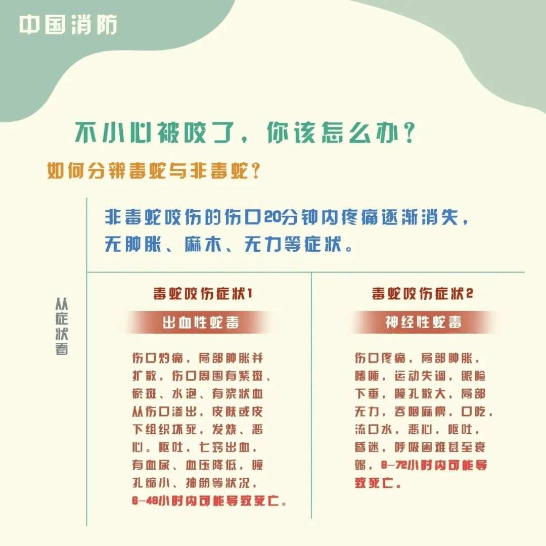 与蛇偶遇我们如何做