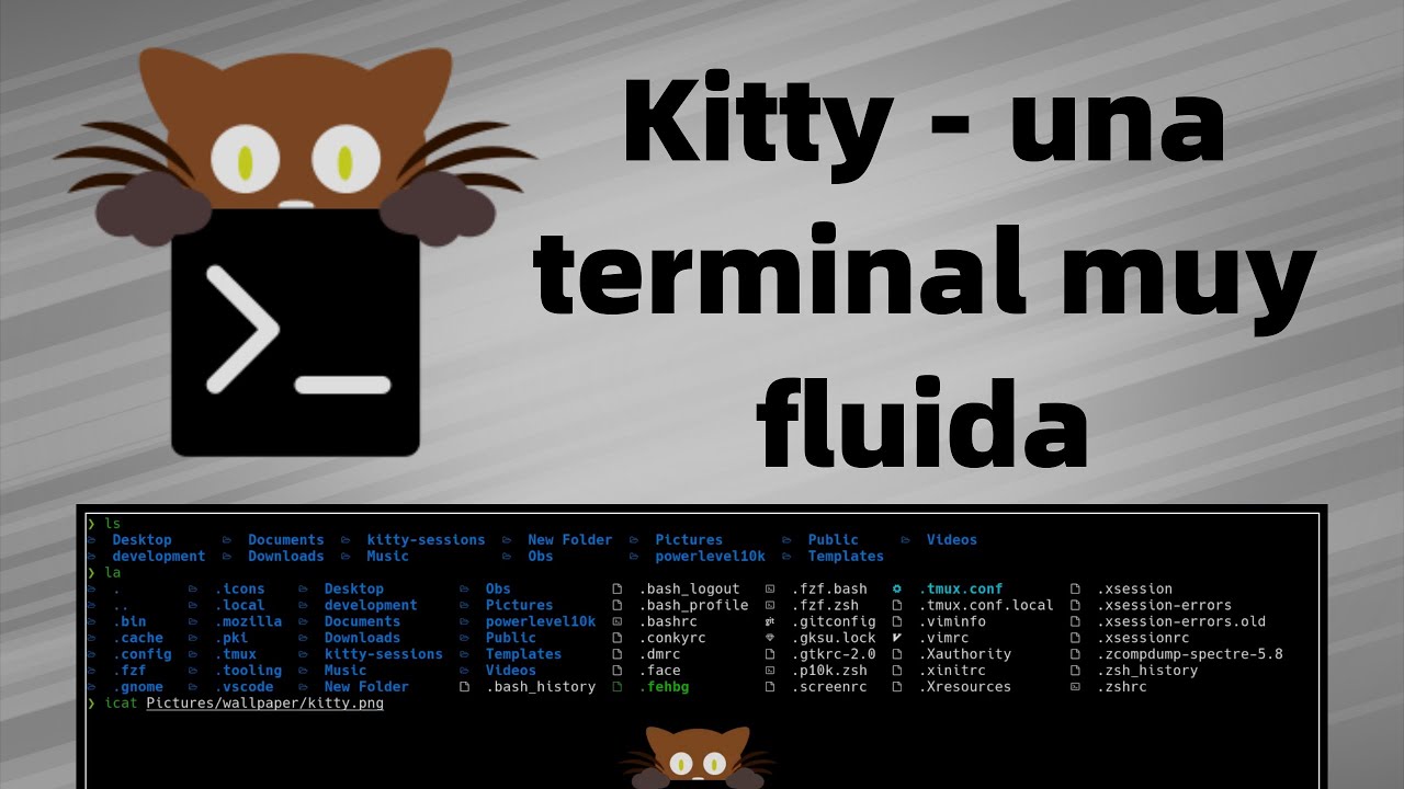 Kitty基于GPU的终端工具