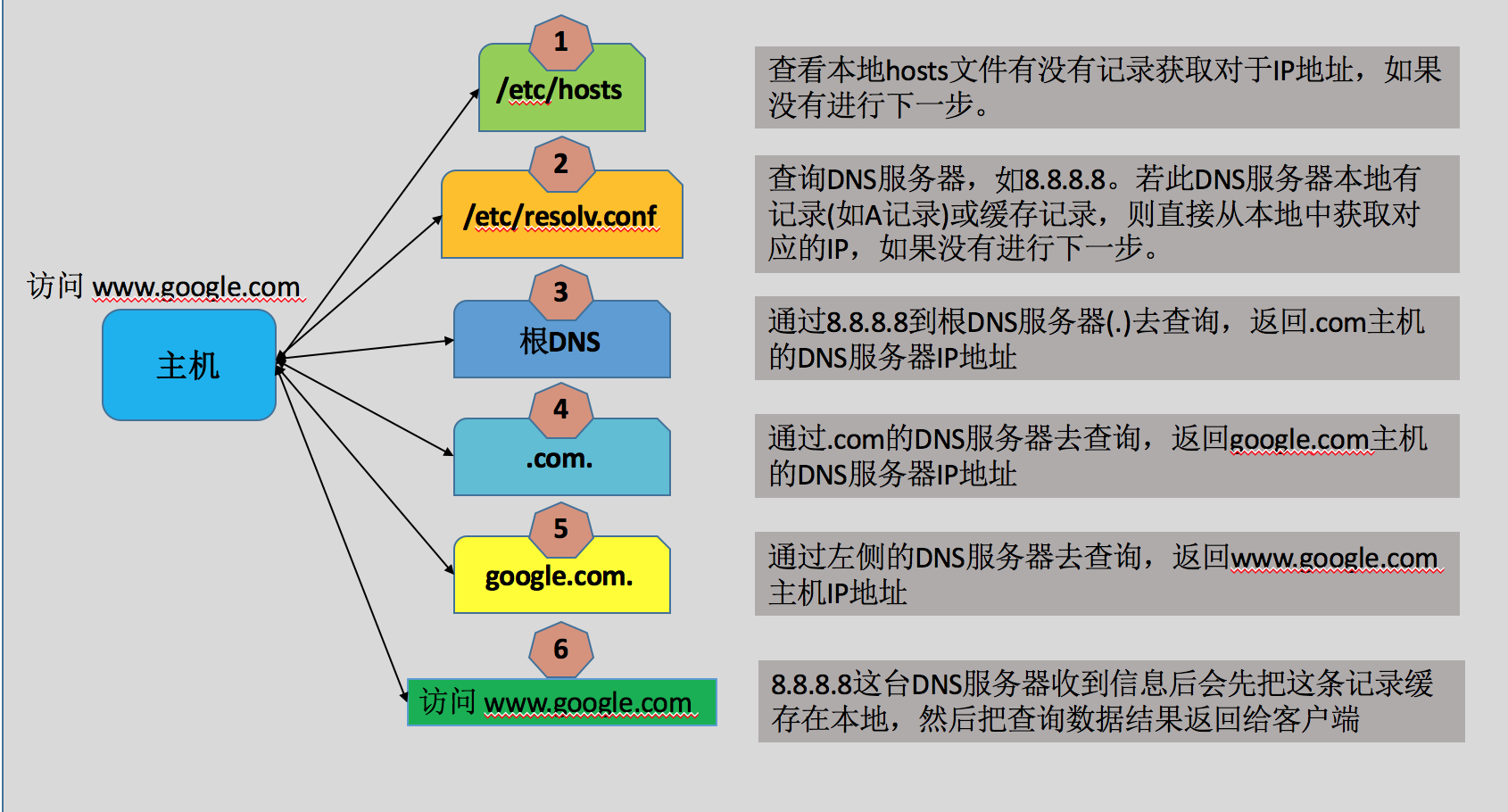 DNS域名解析服务配置