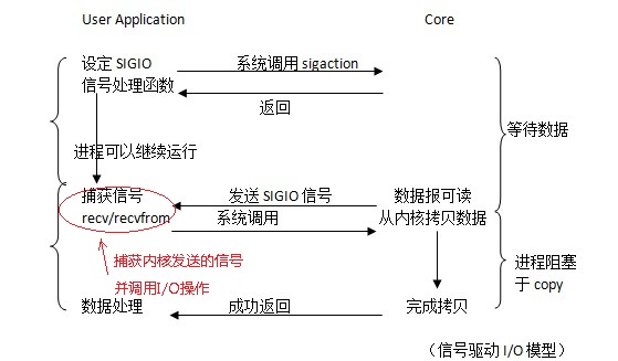 Nginx服务之IO模型